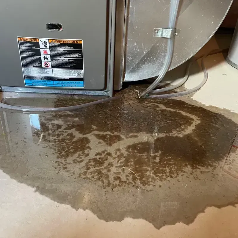 Appliance Leak Cleanup in Sunnyside, CA